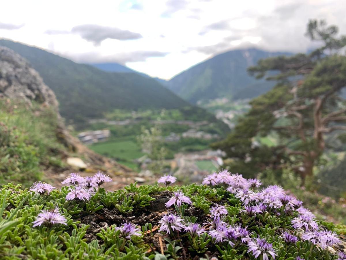 Maians - Peu Del Riu 122 - Vall D'Incles - Soldeu Ngoại thất bức ảnh