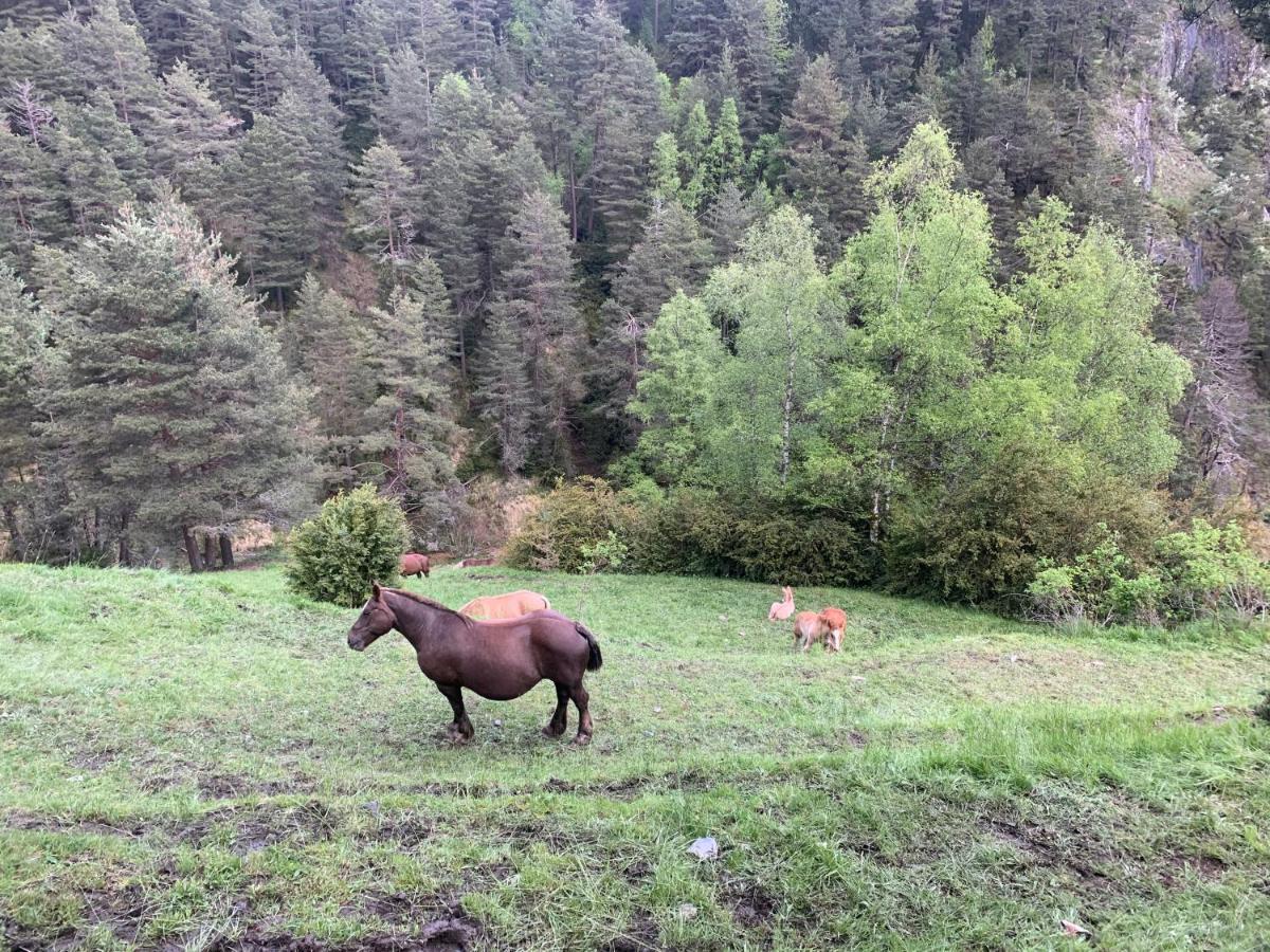 Maians - Peu Del Riu 122 - Vall D'Incles - Soldeu Ngoại thất bức ảnh
